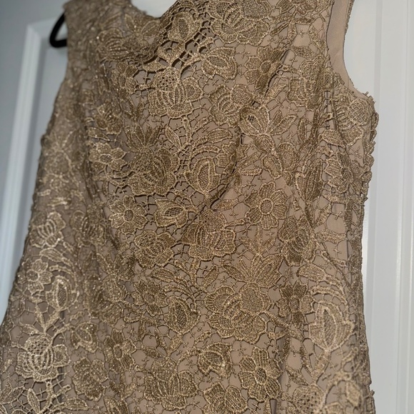 Lauren Ralph Lauren Champagne Lace Sheath Dress Gold Metallic 10 - Picture 14 of 14